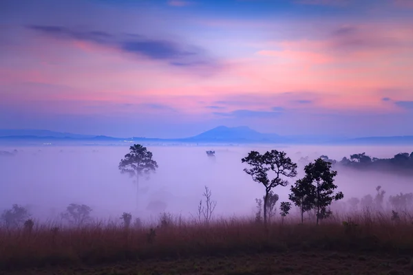 Mulk Salang Luang Milli Parkı: Phetchabun puslu sabah güneş doğarken — Stok fotoğraf