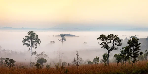 Panorama misty morning sunrise at Thung Salang Luang National Park — Stock Photo, Image