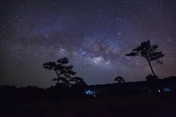 Galaxia Calea Lactee și Silueta Copacului.Expunere lungă fotogra — Fotografie, imagine de stoc