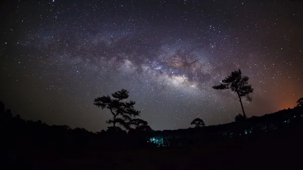 Tejút Galaxis és Silhouette Tree.Long expozíció fénykép — Stock Fotó