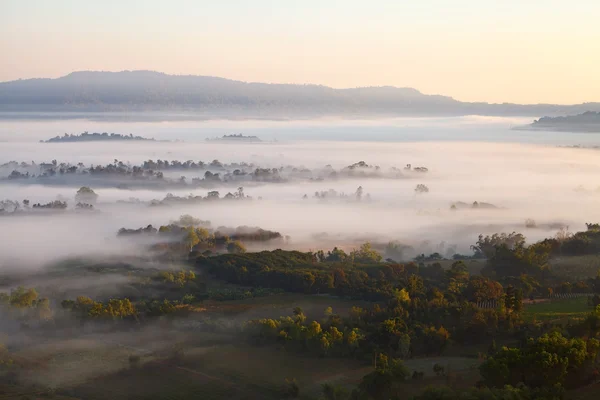 Misty morning sunrise in Khao Takhian Ngo View Point at Khao-kho