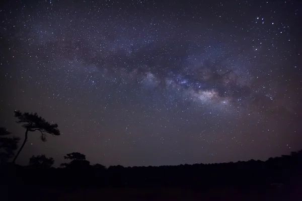 Галактика Чумацький Шлях, фотографія довгого експозиції, з зерном — стокове фото