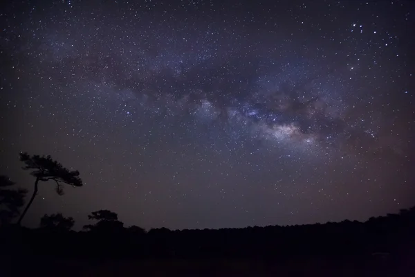 Galaxia de la Vía Láctea, Fotografía de larga exposición, con grano — Foto de Stock