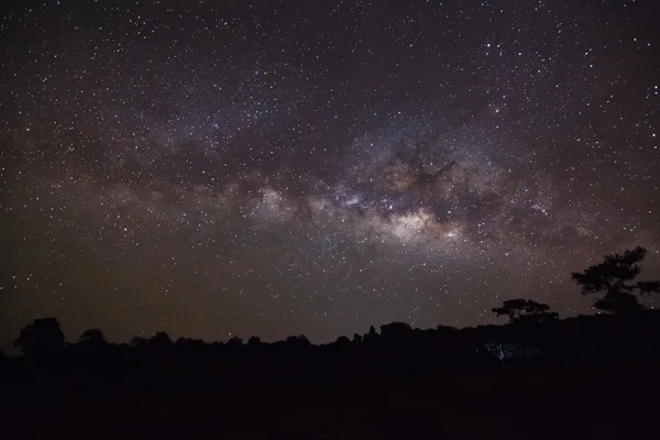 Galassia della via lattea, fotografia a lunga esposizione, con grano — Foto Stock