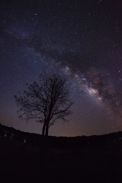 Silhouette of Tree and Milky Way. Long exposure photograph.With — Stock Photo, Image