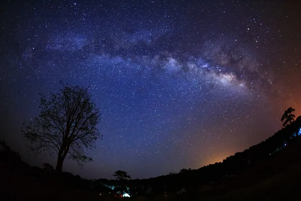 Hermosa galaxia de la Vía Láctea en un cielo nocturno y silueta de árbol — Foto de Stock