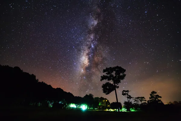 Mlecznej w Phu Hin Rong Kla Park Narodowy, Phitsanulok — Zdjęcie stockowe