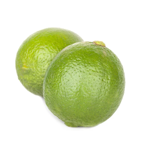 Citrus lime fruit isolated on white background — Stock Photo, Image