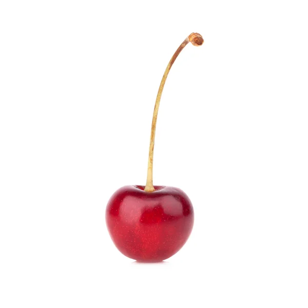 Sweet cherry — Stock fotografie