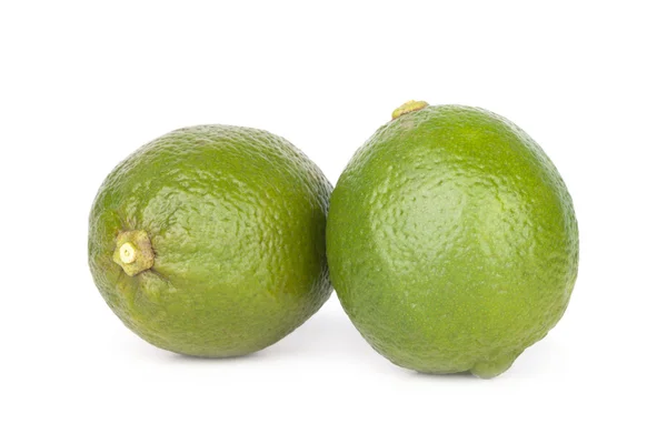 Citrus lime fruit isolated on white background — Stock Photo, Image