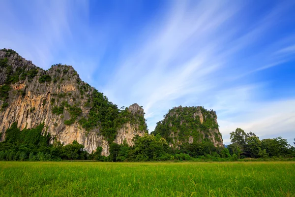 Paysage. Montagne avec rizière verte et ciel bleu à Phitsa — Photo