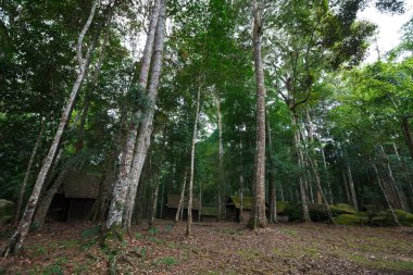 siyasi ve askeri okulda phu hin rong kla Milli Parkı,