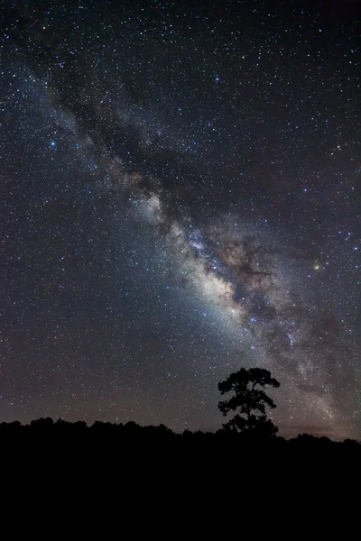 Milkyway. — Foto de Stock