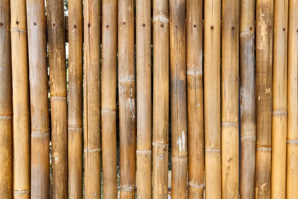 Fond mural en bambou sec — Photo