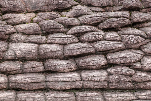 太阳裂纹岩石在富欣 rongkla 国家公园、 彭世洛府、 t — 图库照片