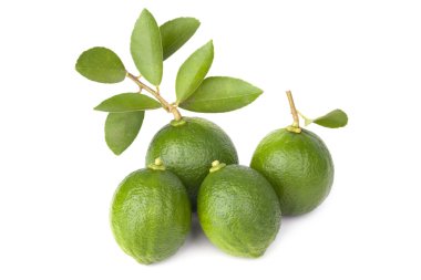 Beyaz arkaplanda yalıtılmış kireç meyvesi