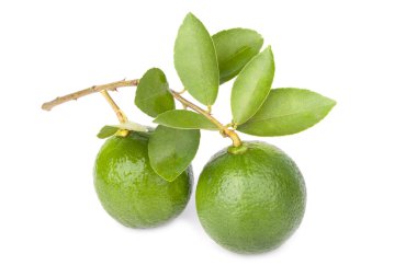 Beyaz arkaplanda yalıtılmış kireç meyvesi