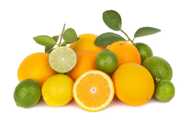 Mix of fresh citrus fruits — Stock Photo, Image