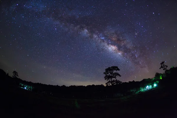 Milky Way at Phu Hin Rong Kla National Park,Phitsanulok Thailand — Stock Photo, Image