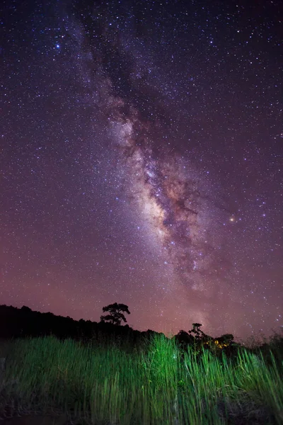 Vintergatan på phu hin rong kla nationalpark, phitsanulok thailand — Stockfoto