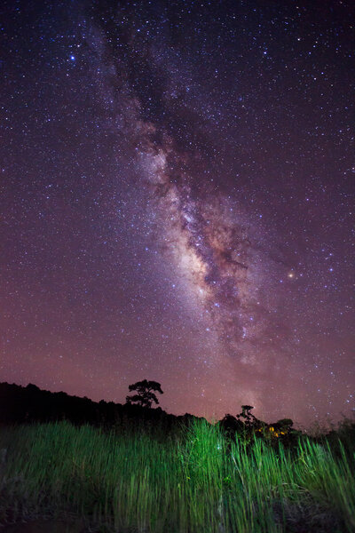 Milky Way at Phu Hin Rong Kla National Park, Phitsanulok Thailand
