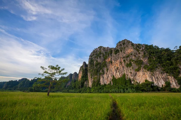 Paisaje. Montaña con campo de arroz verde y cielo azul en Phitsa — Foto de Stock