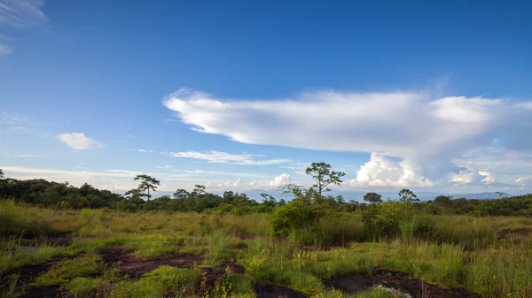 Paisagem de montanha com céu azul em Phu Hin Rong Kla National P — Fotografia de Stock