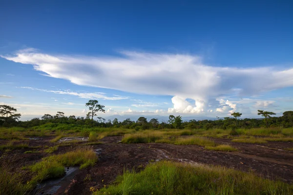 Mountain landscape with blue sky at Phu Hin Rong Kla National Pa — Stock Photo, Image