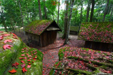 Kırmızı akçaağaç yaprağı zekâ siyasal ve askeri okulda Phu hin Rong