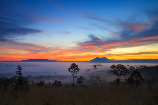 Nebliger morgendlicher Sonnenaufgang in den Bergen am Thung Salang Luang National — Stockfoto