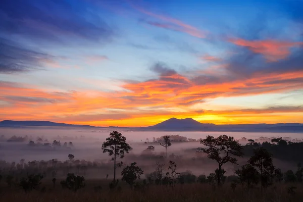 Nebliger morgendlicher Sonnenaufgang in den Bergen am Thung Salang Luang National — Stockfoto