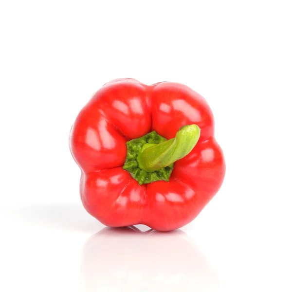 Ripe red bell pepper on white background — Stock Photo, Image