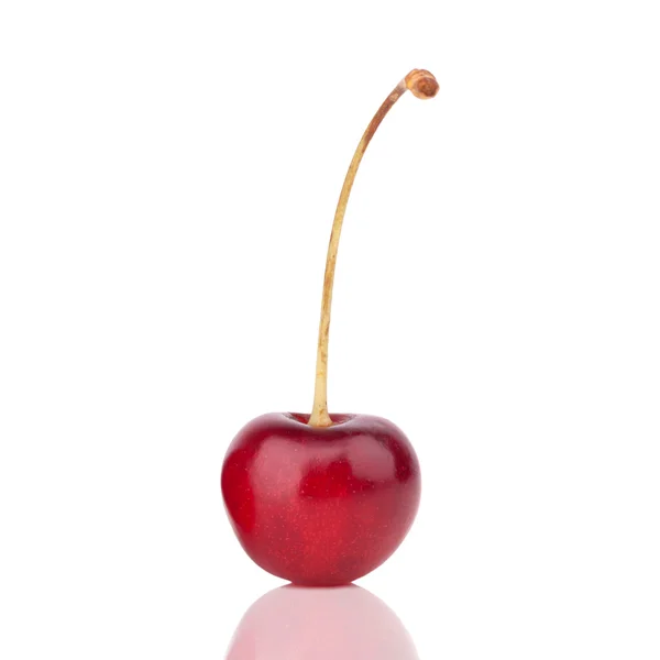 Sweet cherry — Stockfoto