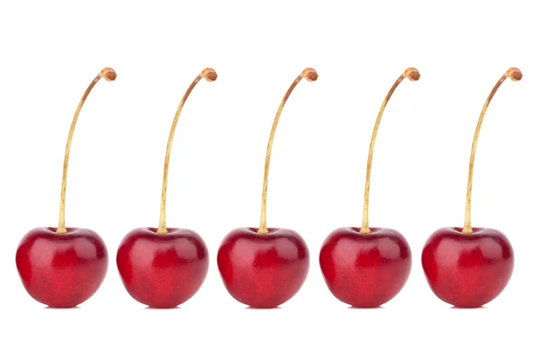 Sweet cherry — Stockfoto