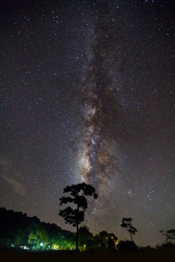 Silhouette ağaç ve sütlü yolu Phu Hin Rong Kla Milli Parkı,