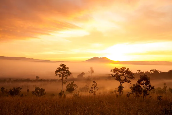 Nebliger morgendlicher Sonnenaufgang in den Bergen am Thung Salang Luang National — Stockfoto