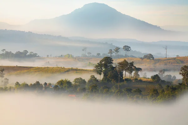 Schöne berglandschaft nebel bei khao-kho phetchabun, thailand — Stockfoto