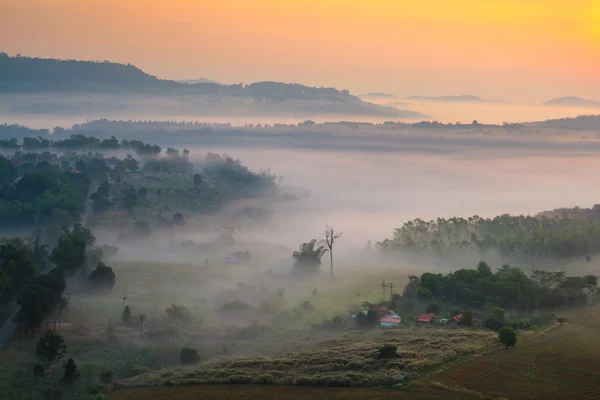 Misty morning sunrise in mountain at Khao-kho Phetchabun,Thailan — Stock Photo, Image