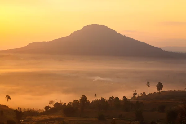 Misty morning sunrise  in mountain at Khao-kho Phetchabun,Thaila — Stock Photo, Image