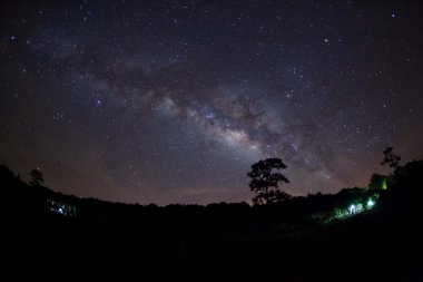 Ağaç silüeti bulut ve Samanyolu. Uzun pozlama fotoğraf