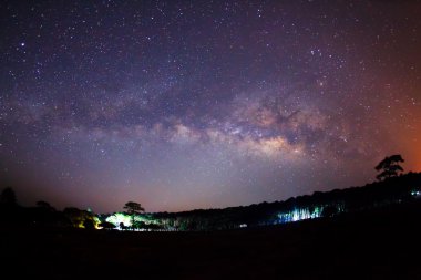 Silhouette ağaç ve Samanyolu, uzun pozlama photograp