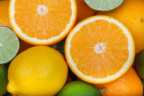 Fresh orange,citrus fruits — Stock Photo, Image