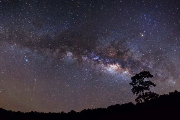 Silueta panorámica de árbol con nube y Vía Láctea. Exposiciones largas —  Fotos de Stock