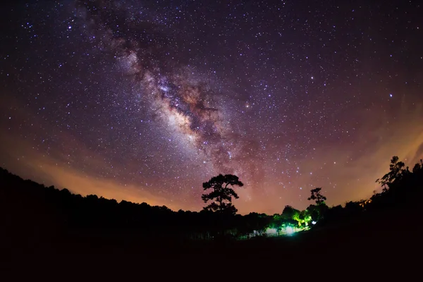 Silhouette de Tree and Milky Way. Photographie longue exposition . — Photo