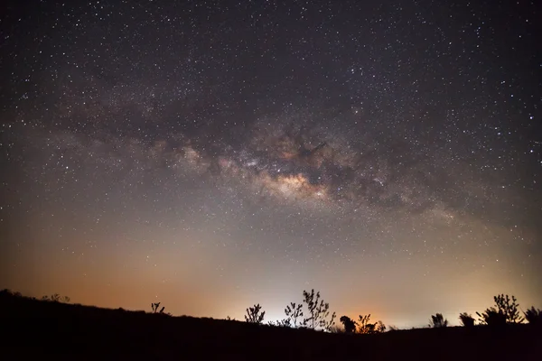 Silhouette of Tree and Milky Way, Long exposure photograph. — Stock Photo, Image