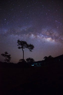 Silhouette ağaç ve bir gece gökyüzü üzerinde güzel milkyway