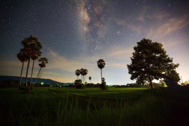 Ağaç silüeti bulut ve Samanyolu, uzun pozlama fotoğraf