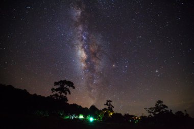 Ağaç ve bir gece gökyüzü üzerinde güzel milkyway silüeti. Uzun e