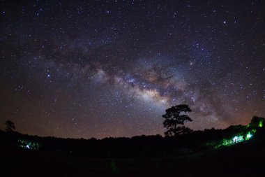 Ağaç silüeti bulut ve Samanyolu. Uzun pozlama fotoğraf
