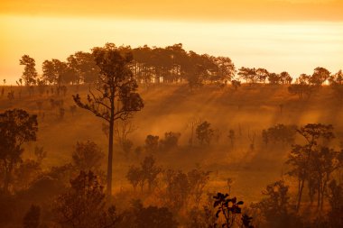 puslu sabah gündoğumu dağ Mulk Salang Luang National